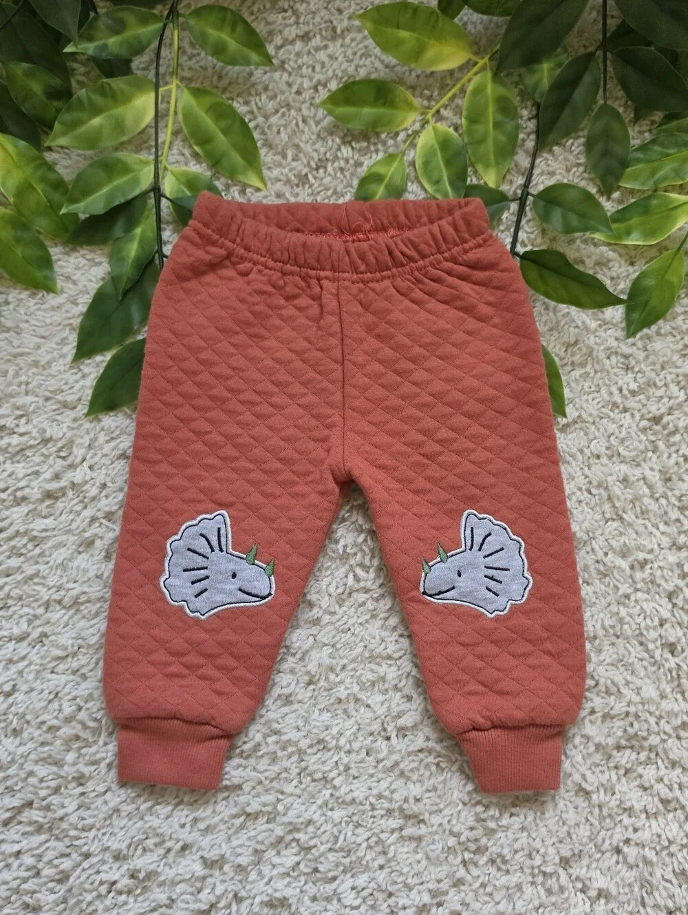 Baby Boy Triceratops Pants (0-3 Months)
